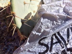 cactus walmart bag