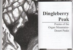 dingleberry page 1